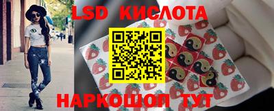 стафф Гатчина