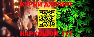 стафф Гатчина