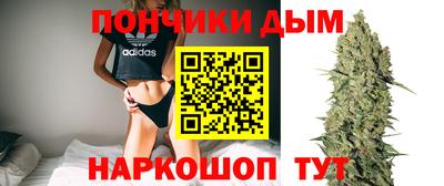 стафф Гатчина