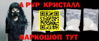 стафф Гатчина