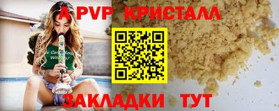 стафф Гатчина