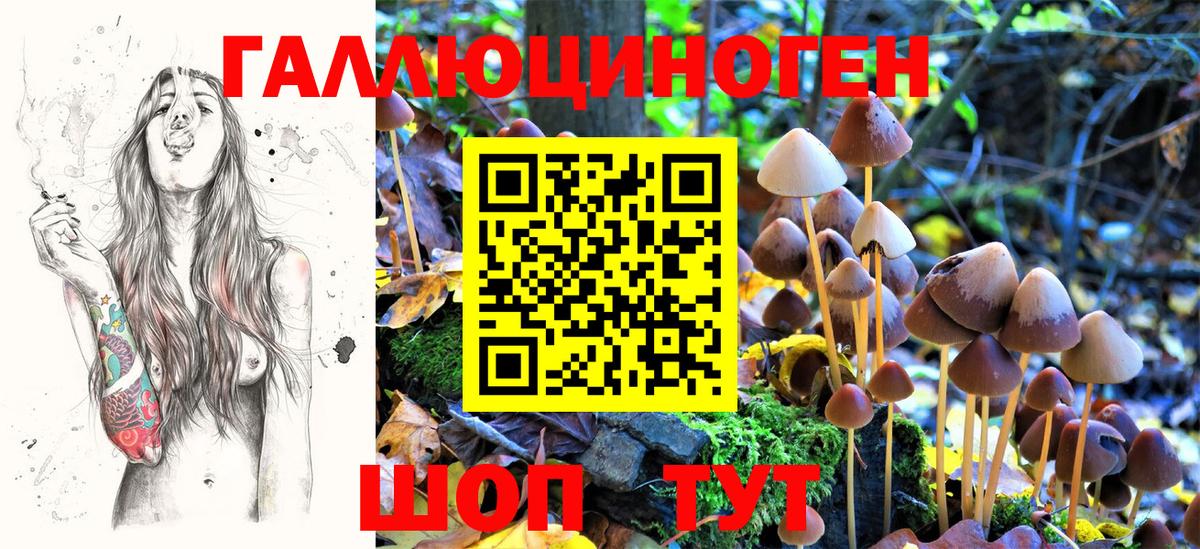 Псилоцибиновые грибы Magic Shrooms  Галлюциногенные грибы мухоморы  Вход с VPN  Димитровград 