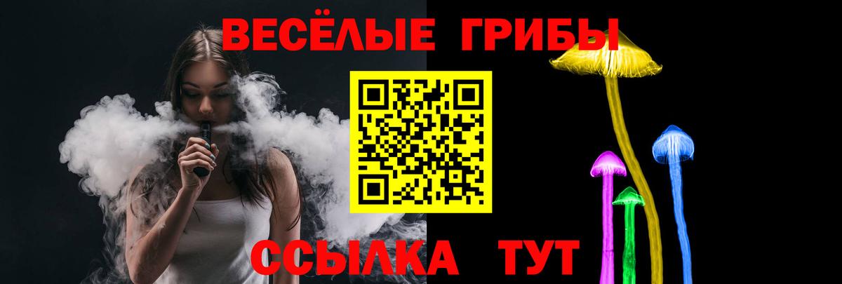 Псилоцибиновые грибы Psilocybine cubensis Димитровград